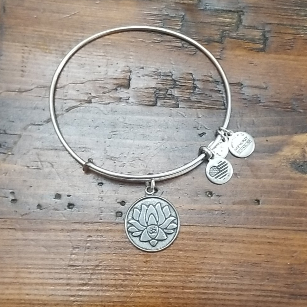 Alex and Ani Bangle